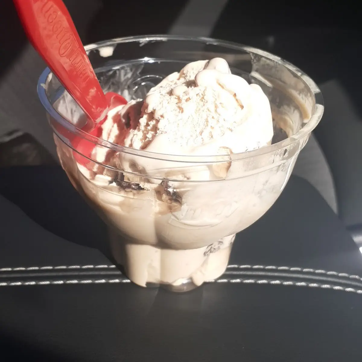 Rhum Raisin Ice Cream