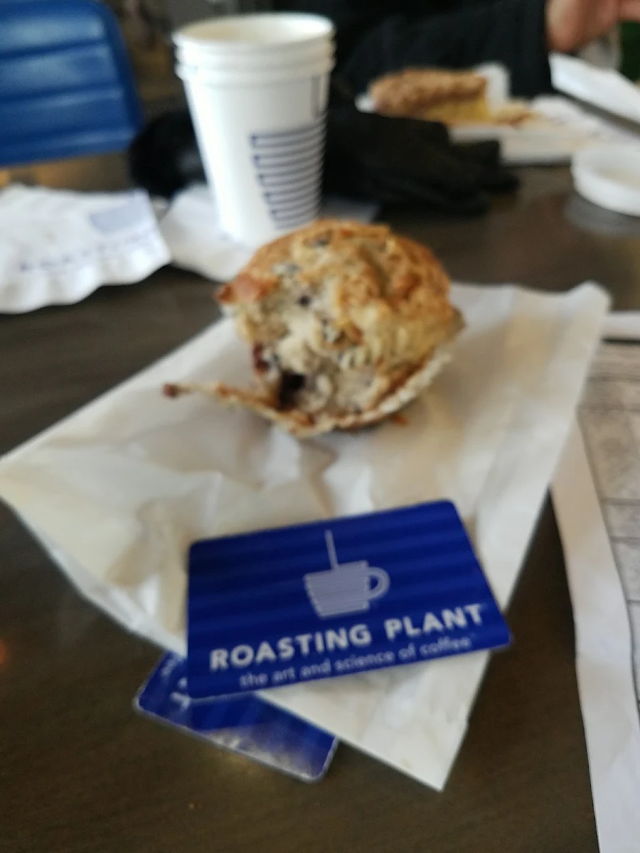 Blueberry Muffin