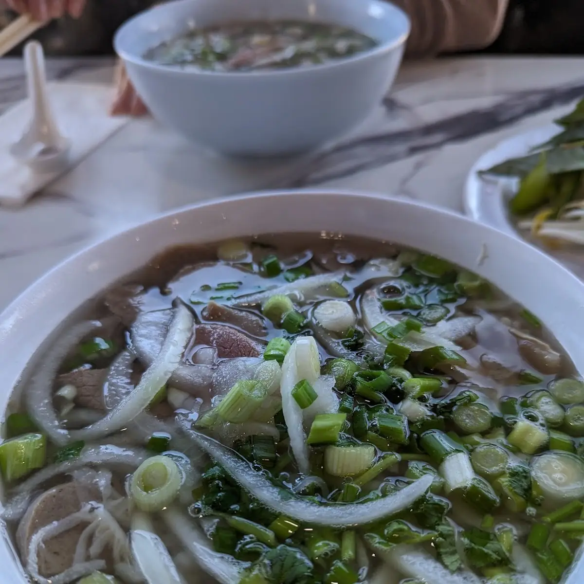 Special Combination Pho and Spring Rolls