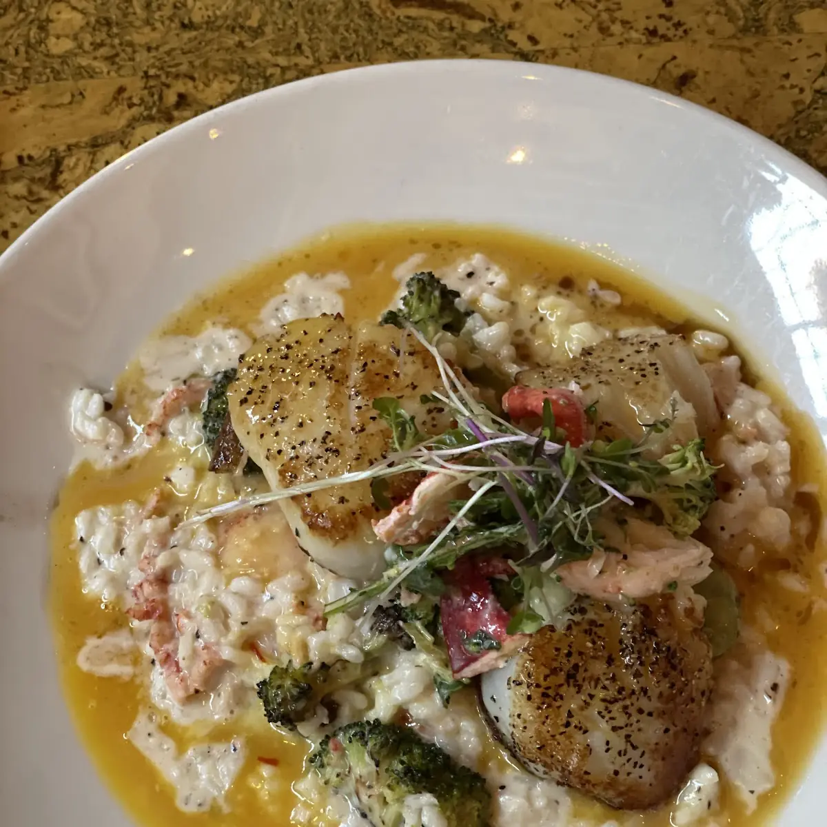Pan Seared Scallops & Lobster