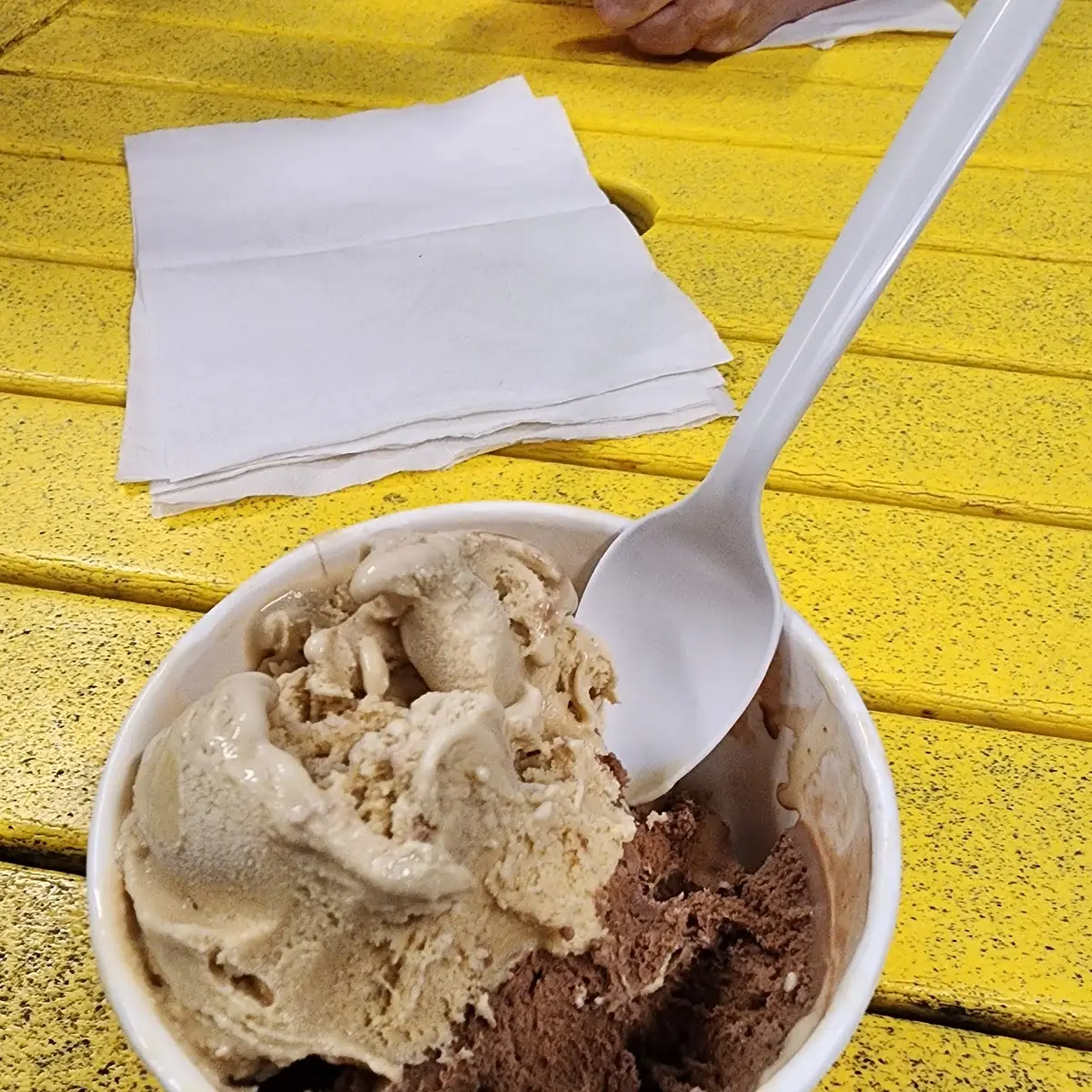 Coffee and Chocolate Brownie Blast Ice Cream