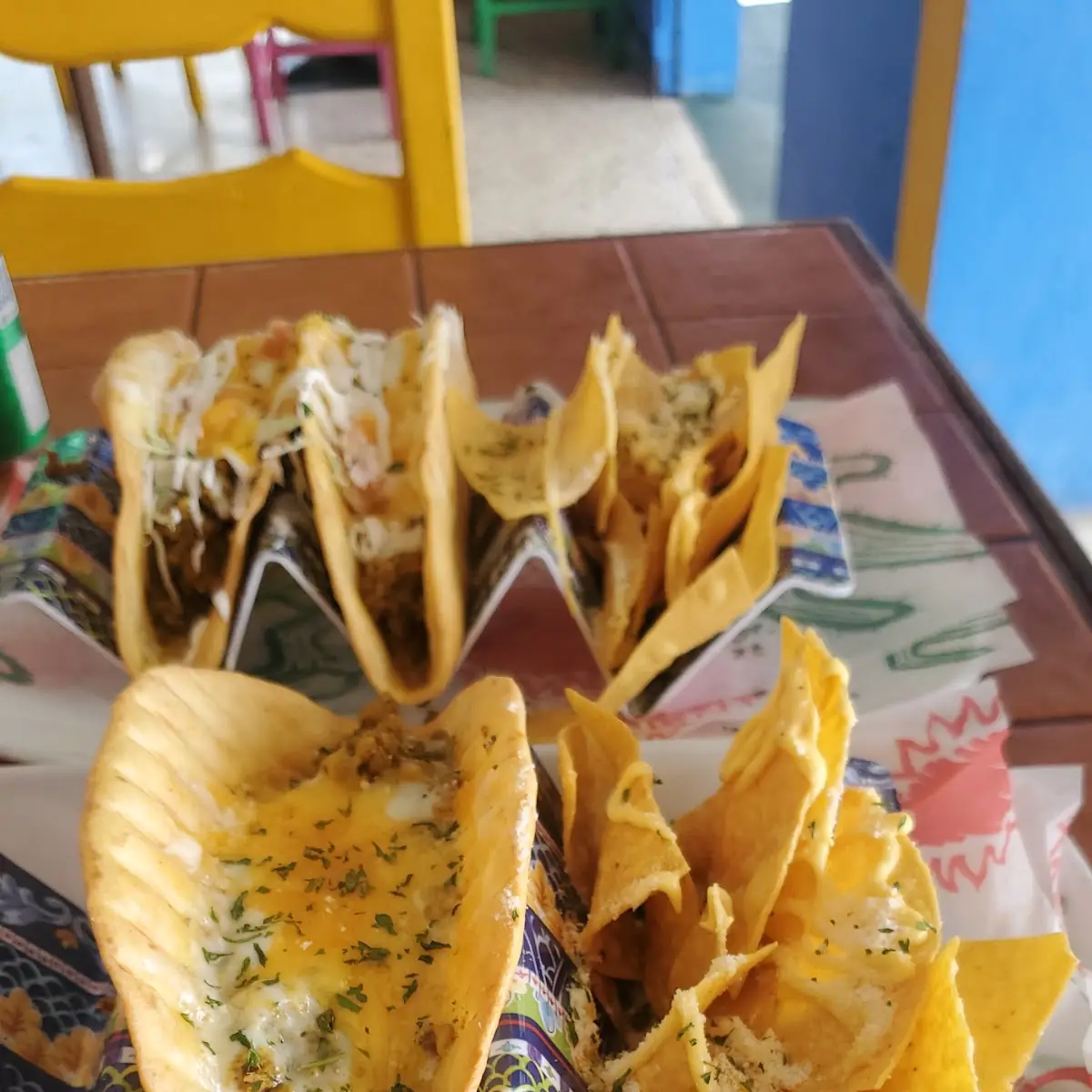 Quesadillas Garibaldi De Carne Molida