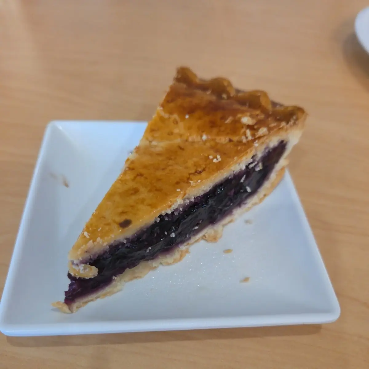 Sugar Free Blueberry Pie