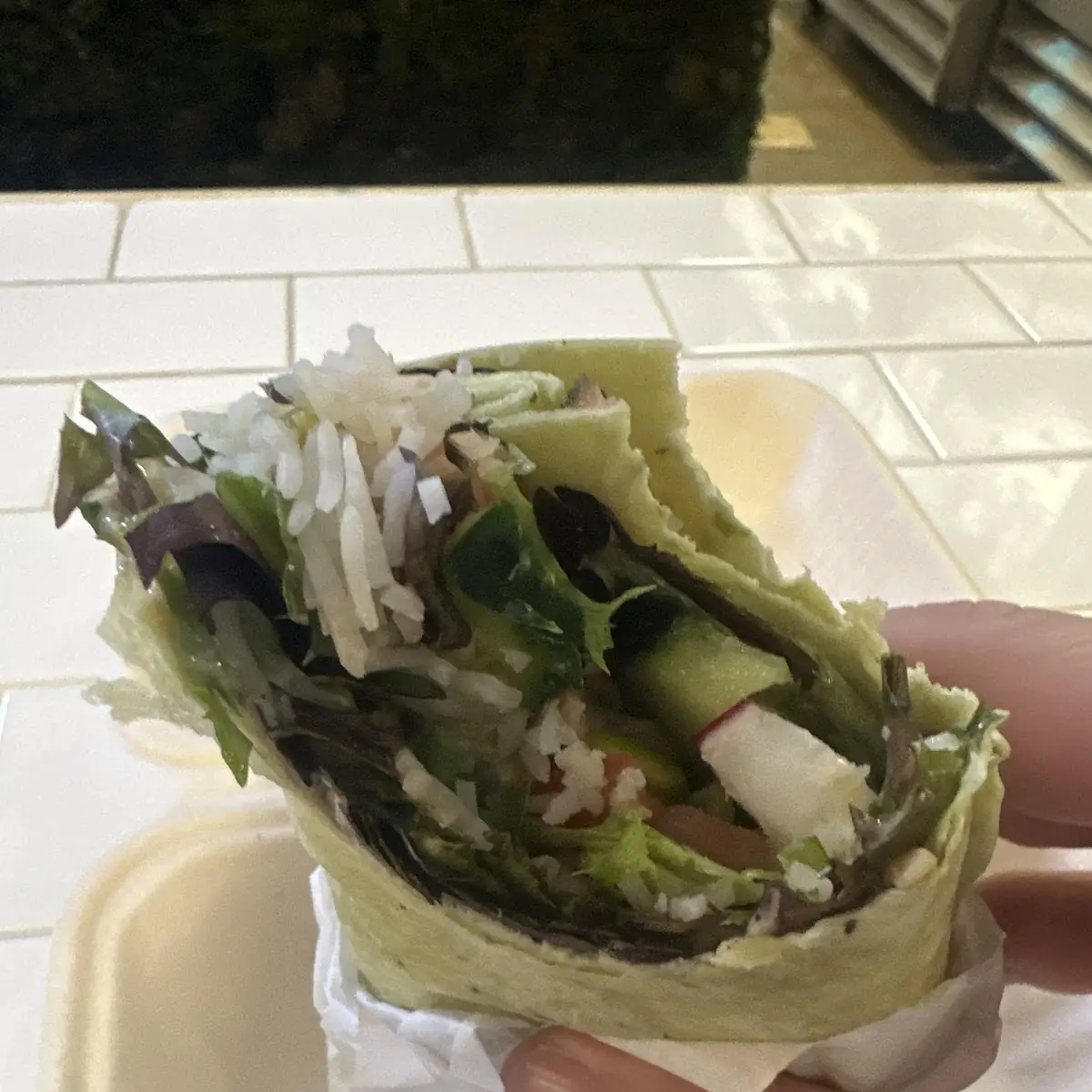 Veggie Delight Wrap