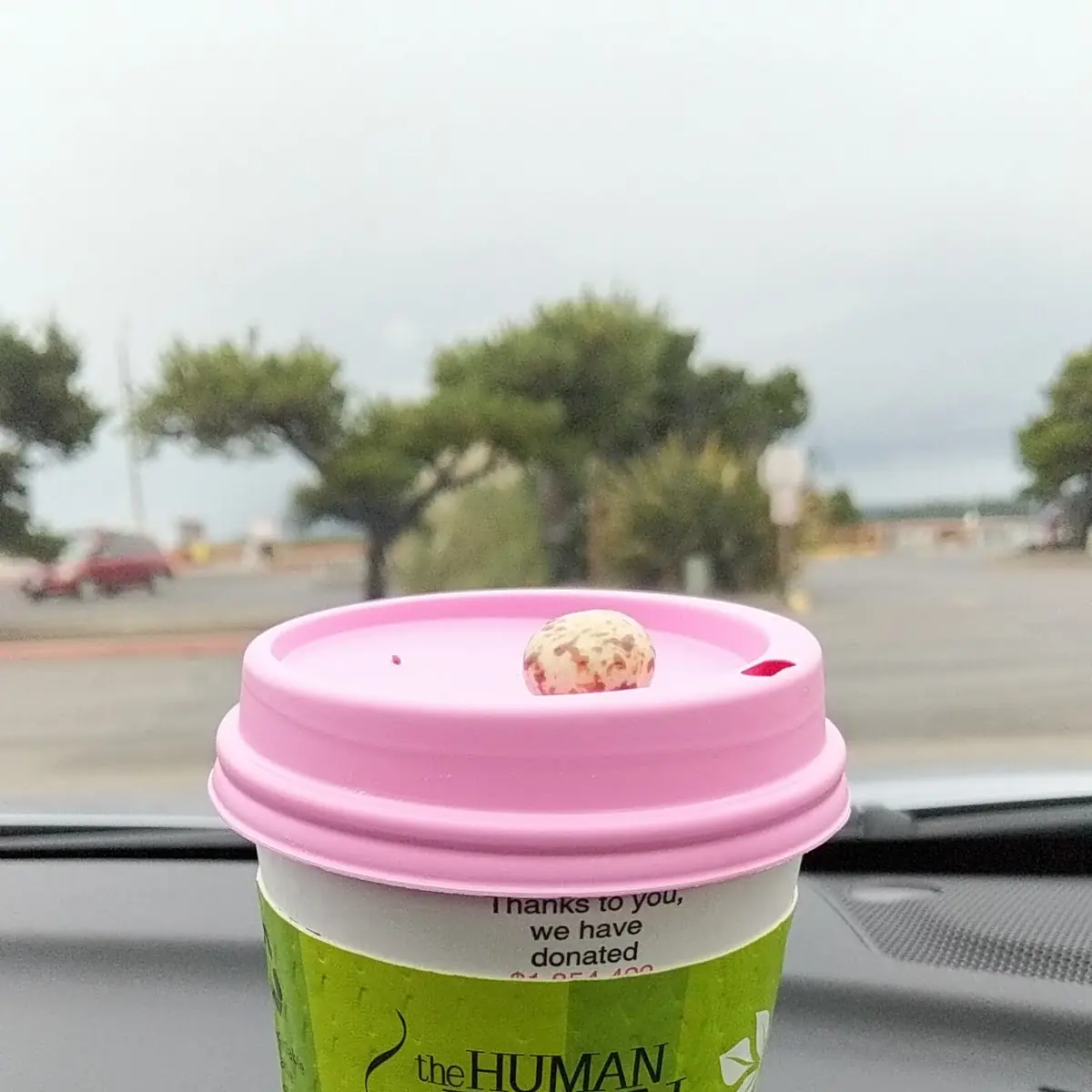 Pumpkin Spice Latte