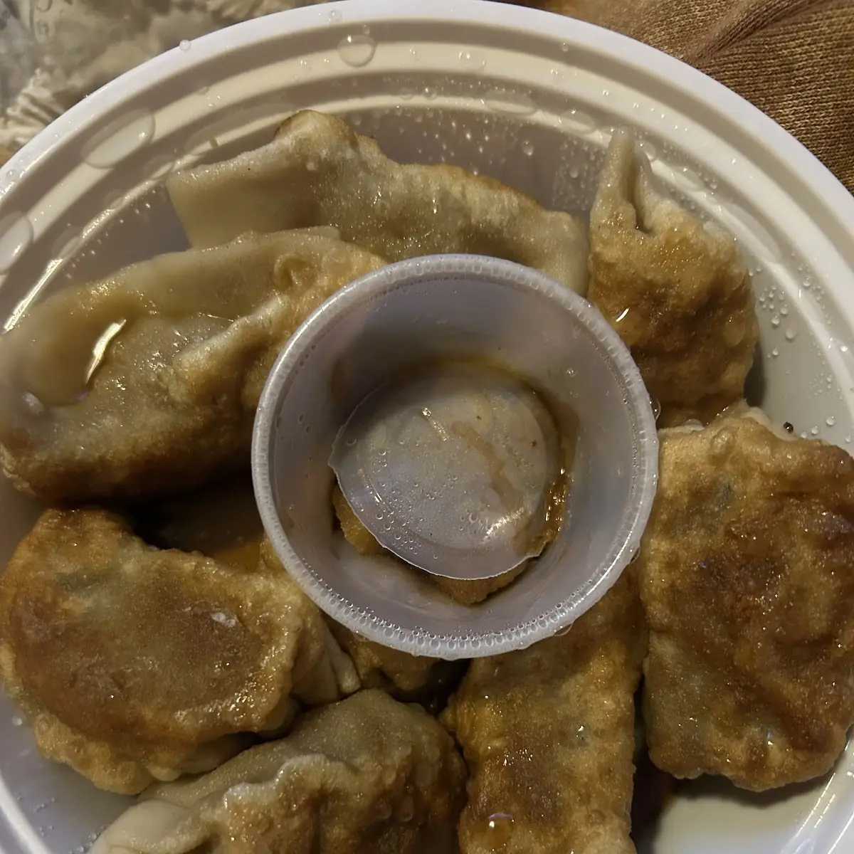 Peking Ravioli 6
