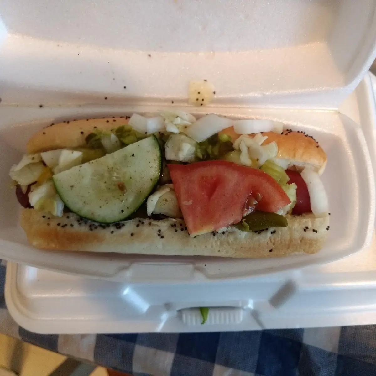 Chicago Style Hot Dog
