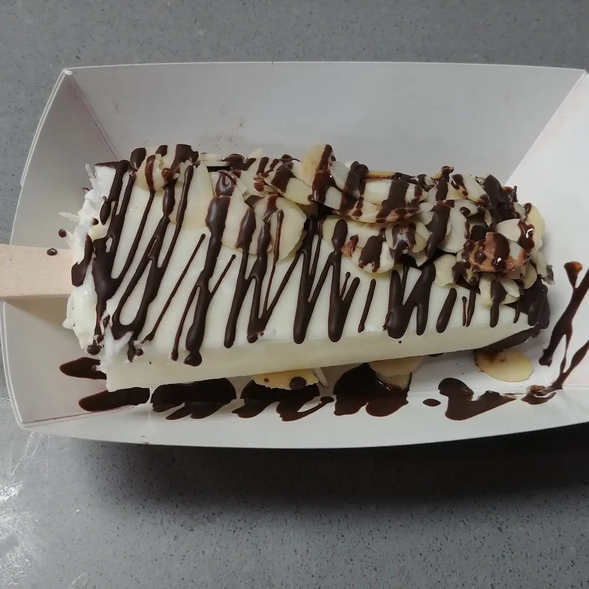 Coconut Ice Cream Almond & Dark Chocolate Dipped