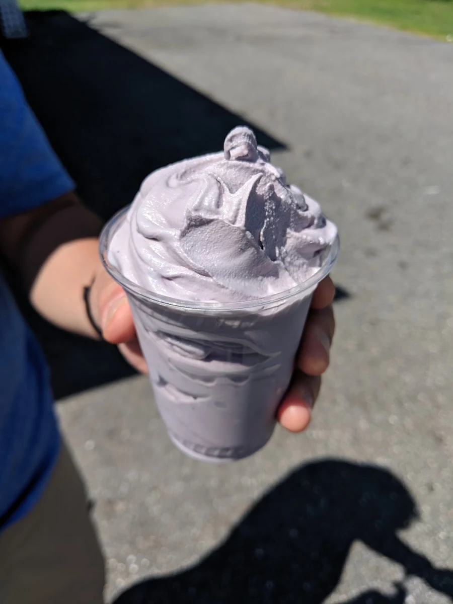 Blueberry Soft Serve Ice Cream