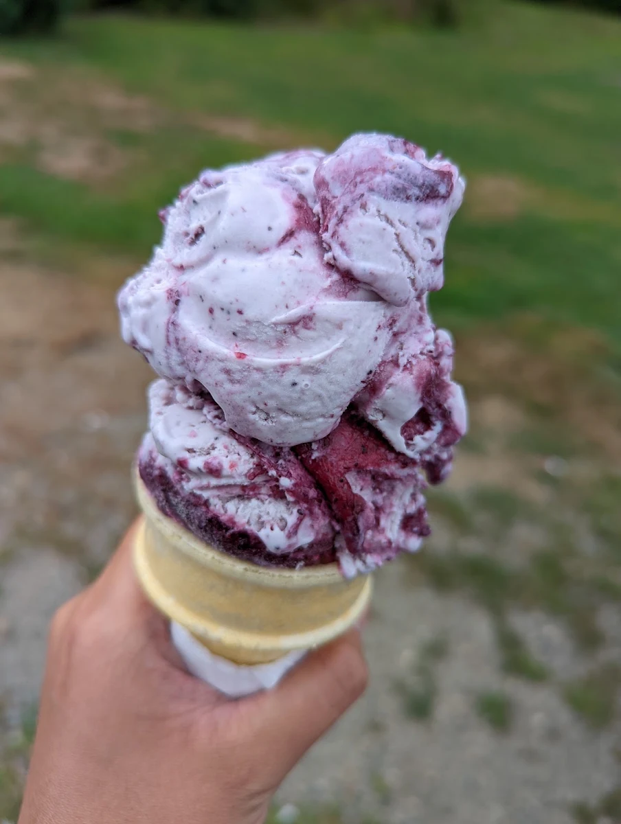Maine Wild Blueberry Ice Cream