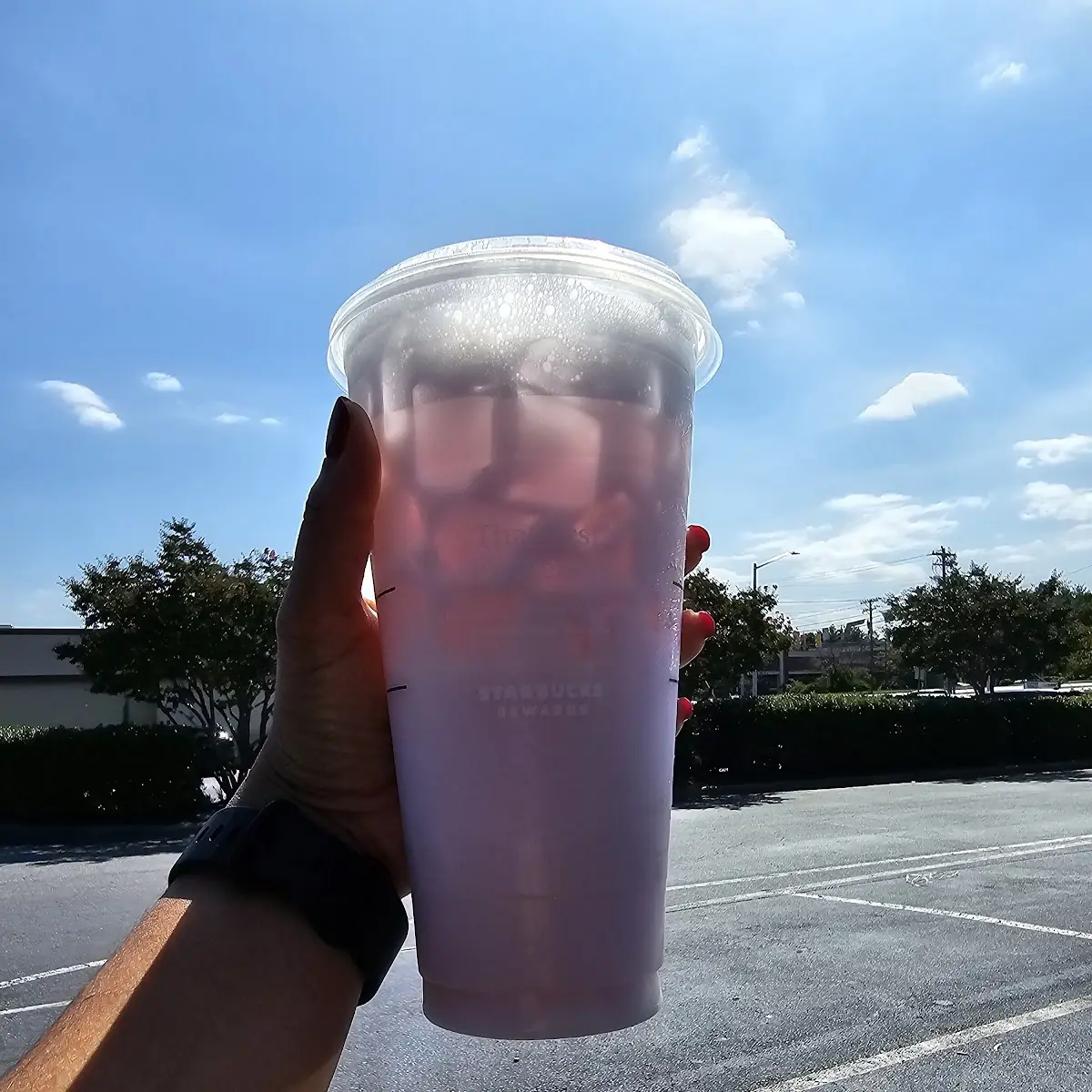 Pink Drink Starbucks Refreshers Beverage