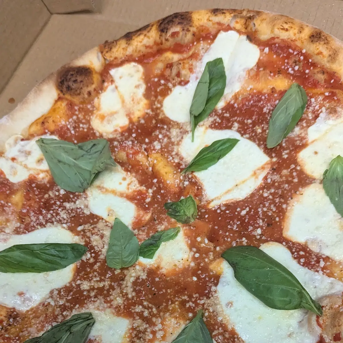 Margarita Pizza