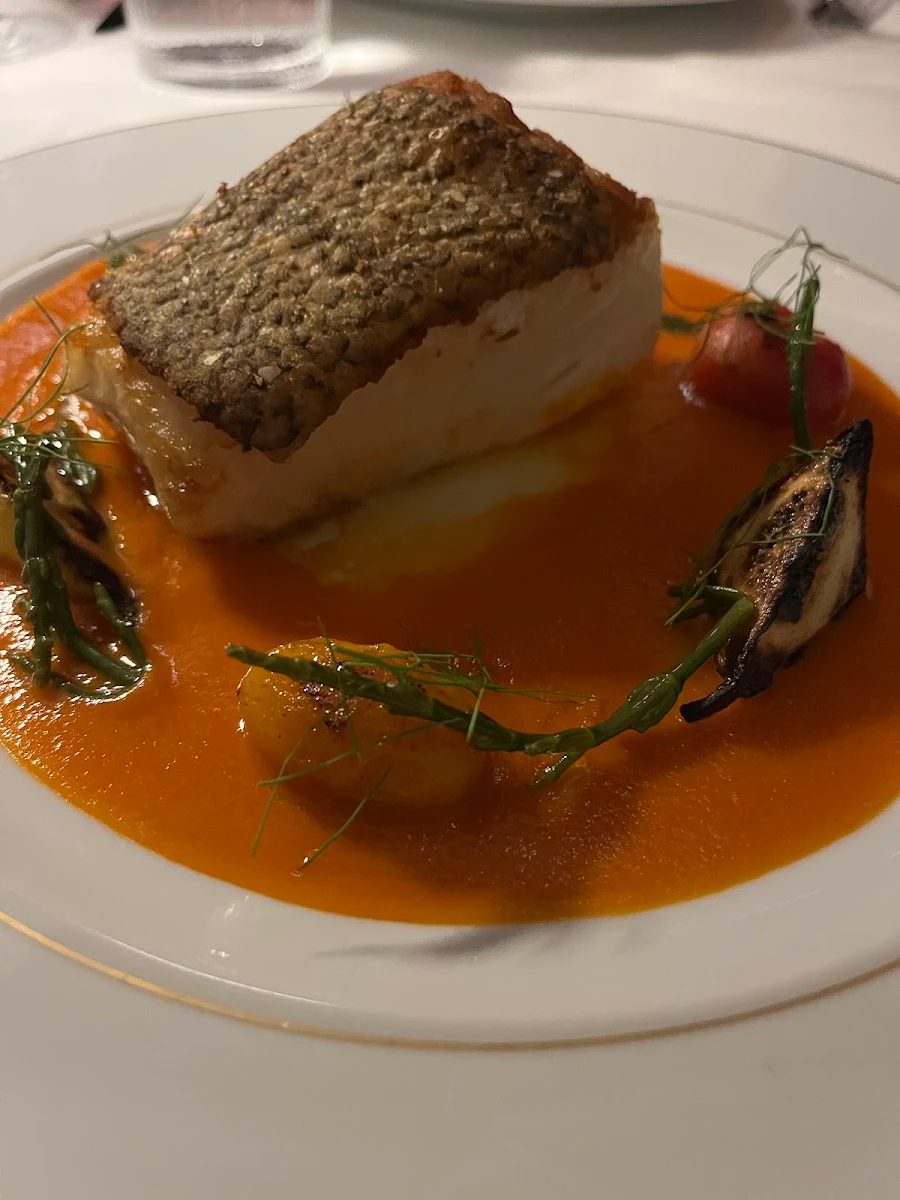 Branzino, SAMMARCO
