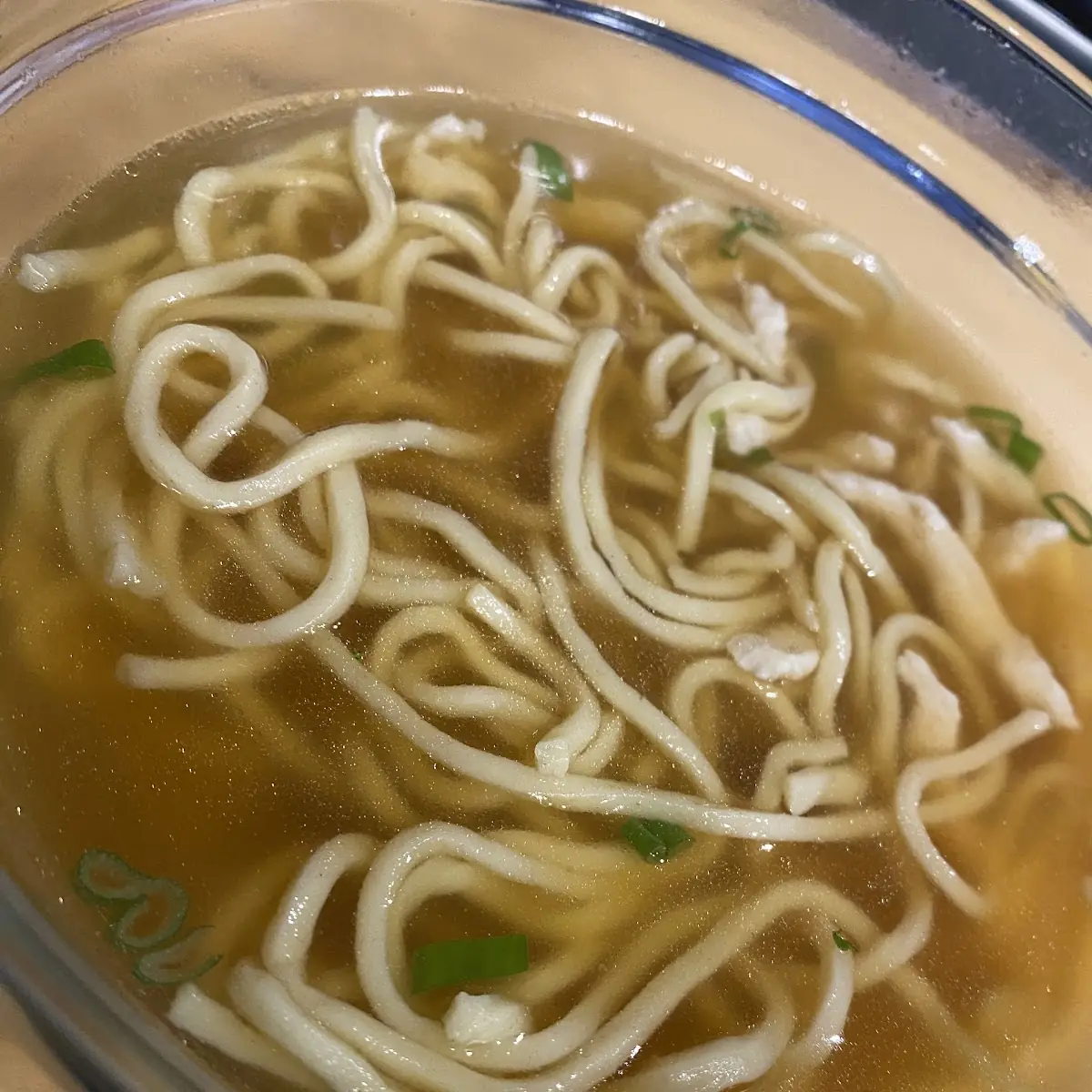 Chicken with Noodle Soup