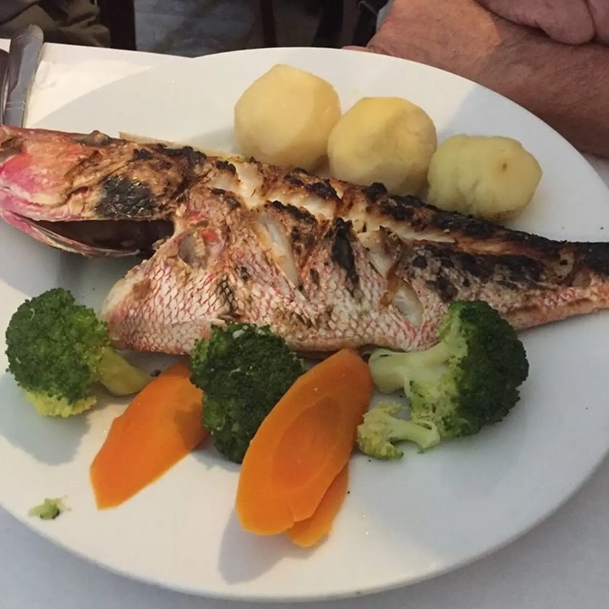 Sea Bass