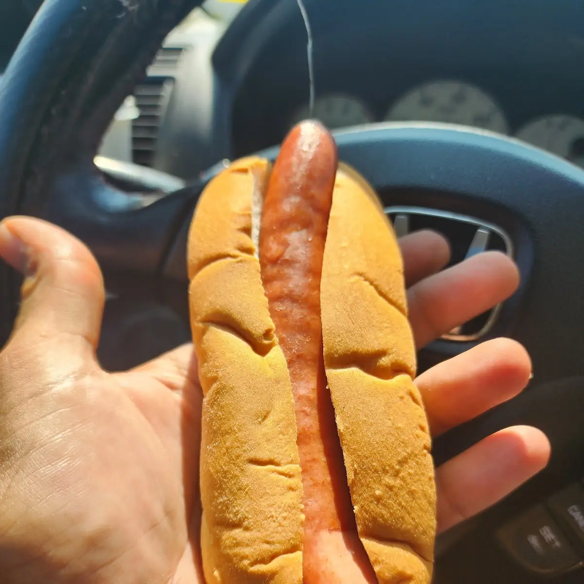 Hot Dog