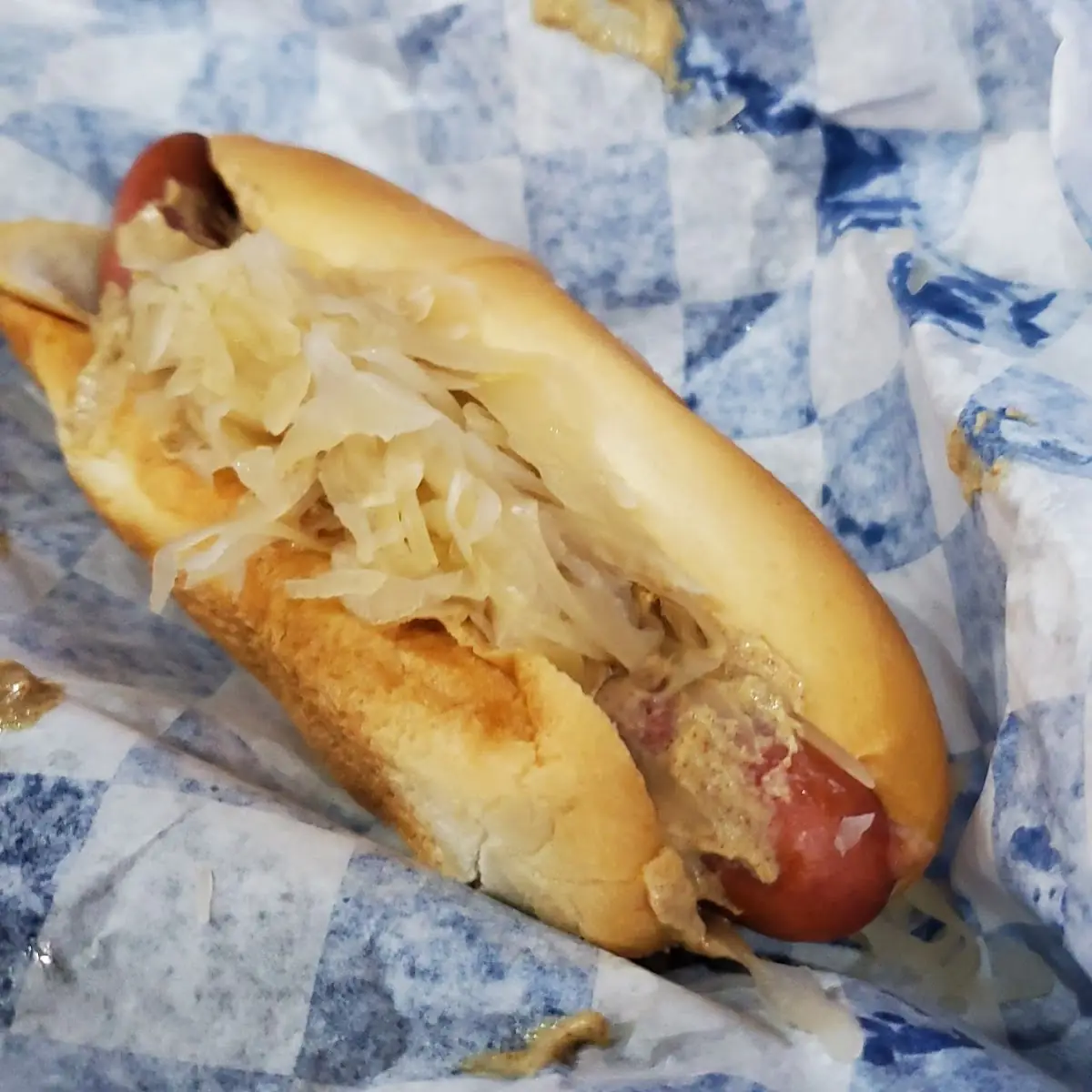 New York Dog