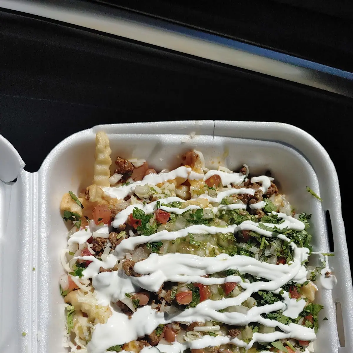 Carne Asada Fries