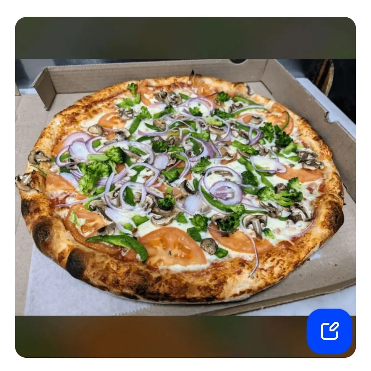 Veggie Pizza XL 20