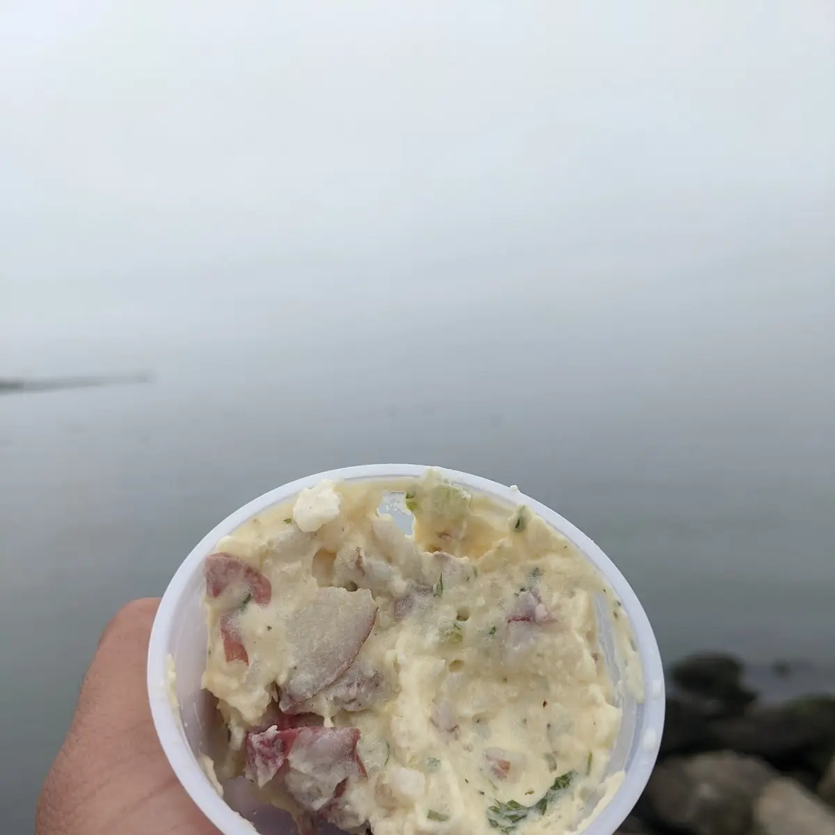 Potato Salad