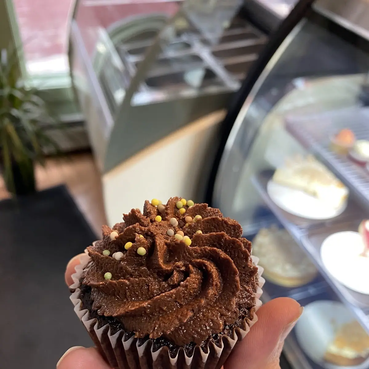 Vegan Chocolate Cupcakes