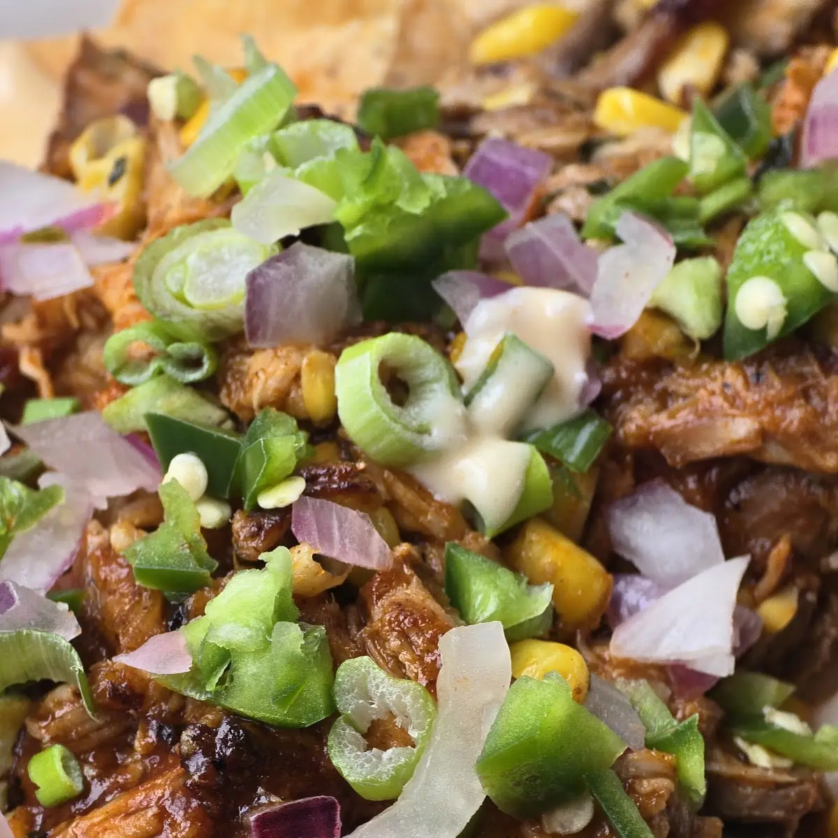 BBQ Pork Nachos