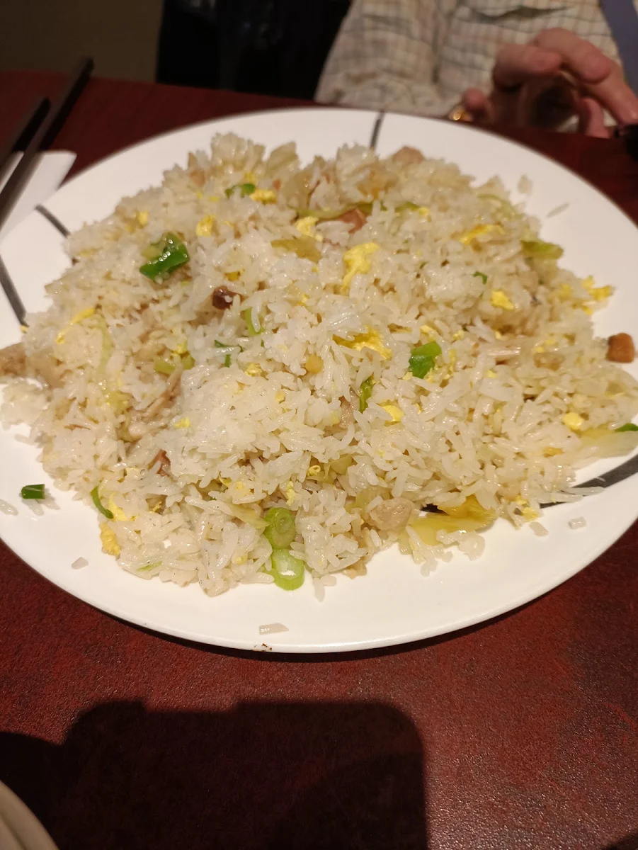 Salty Fish and Chicken Fried Rice