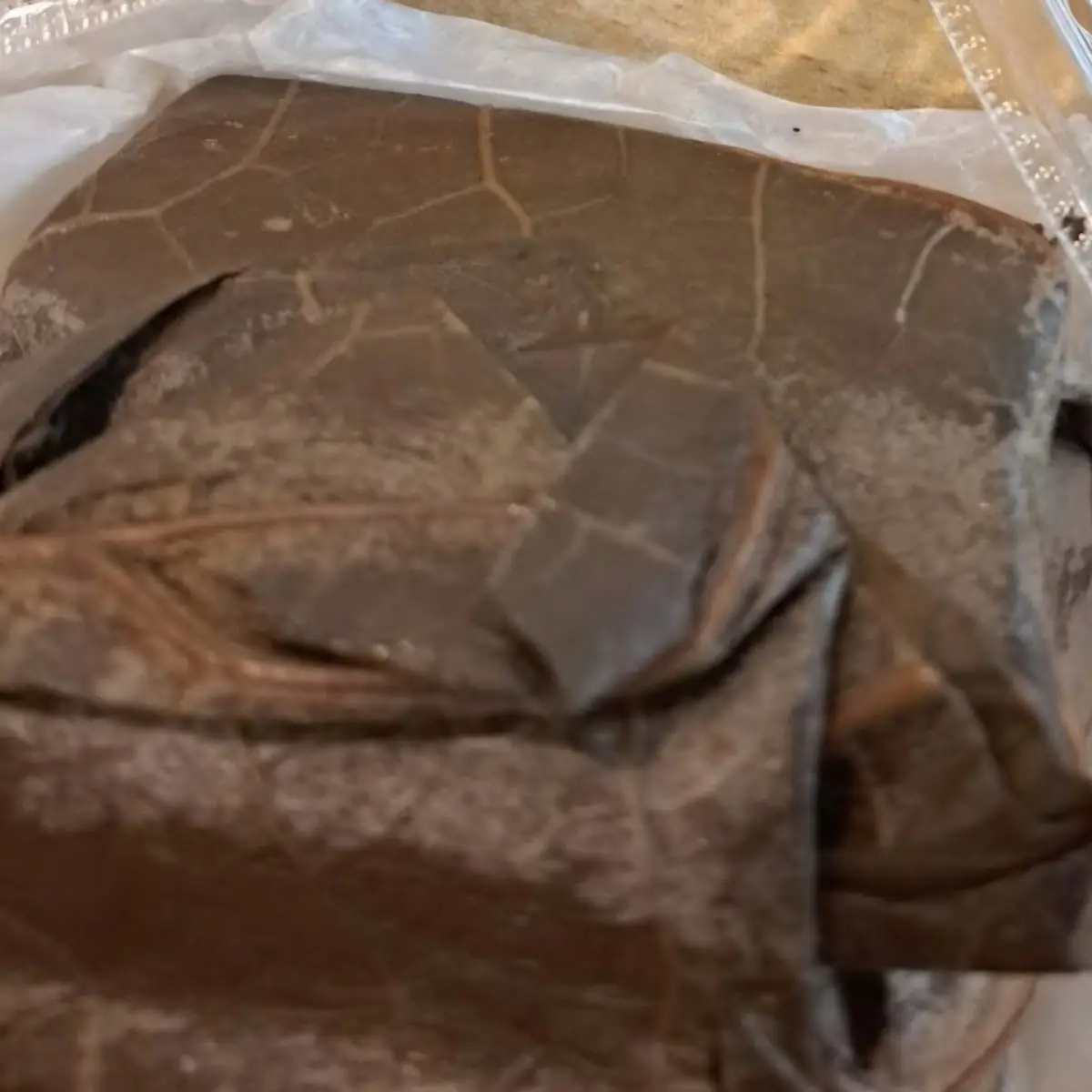 Sticky Rice with Lotus Leaf