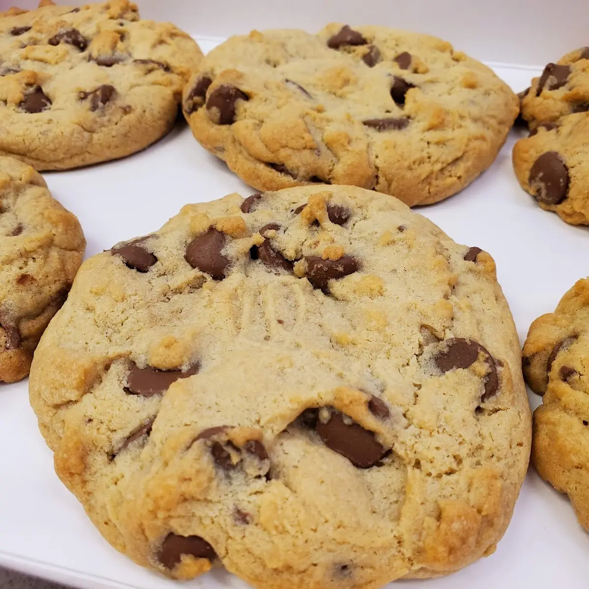 Milk Chocolate Chip