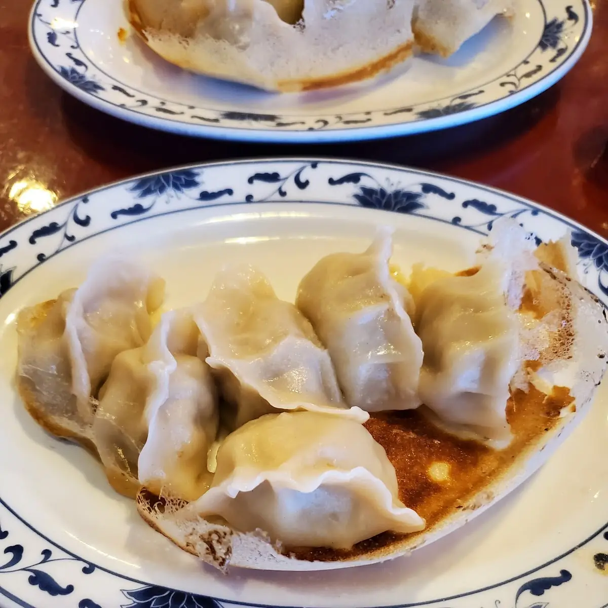 Pan Fried Dumplings