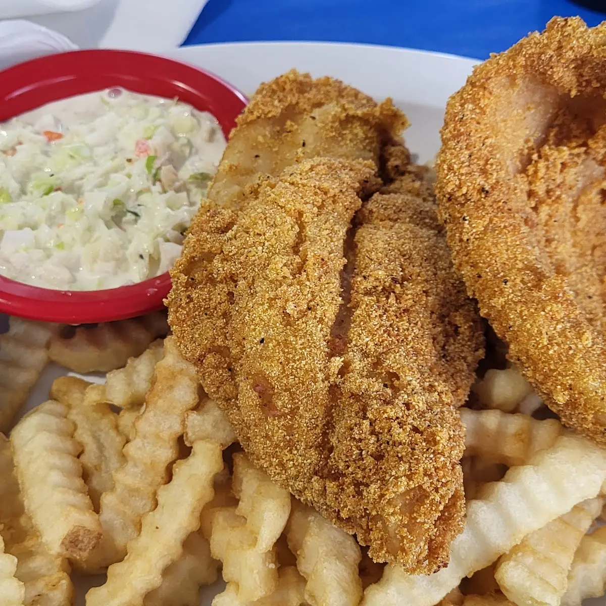 Fish and Fries