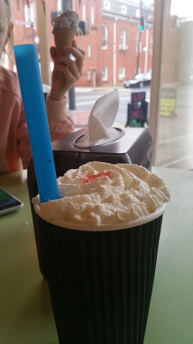Chicago Malted Milkshake