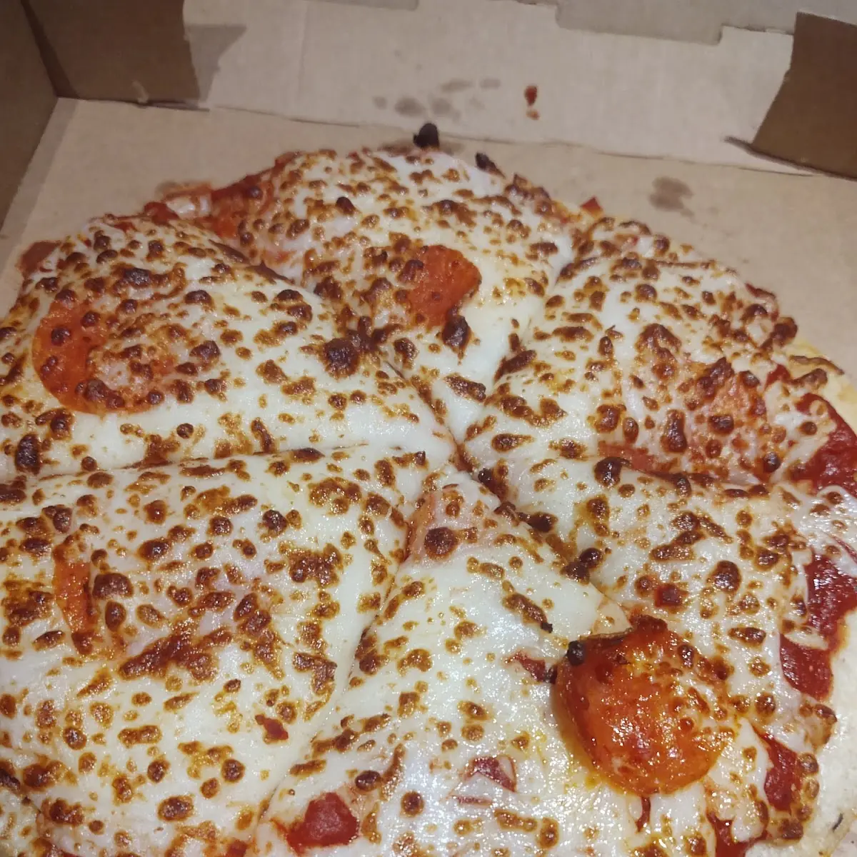 Cheese Pizza V