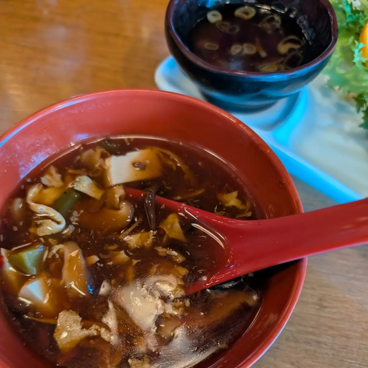 Hot and Sour Soup