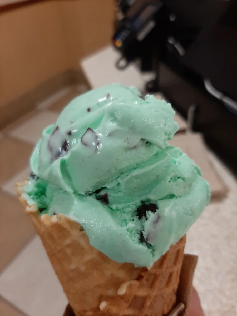 Mint Chocolate Chip Ice Cream