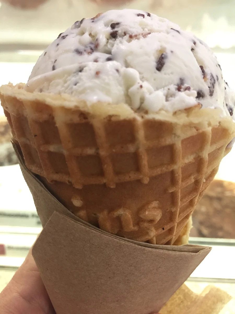 Toasted Coconut in Waffle Cone