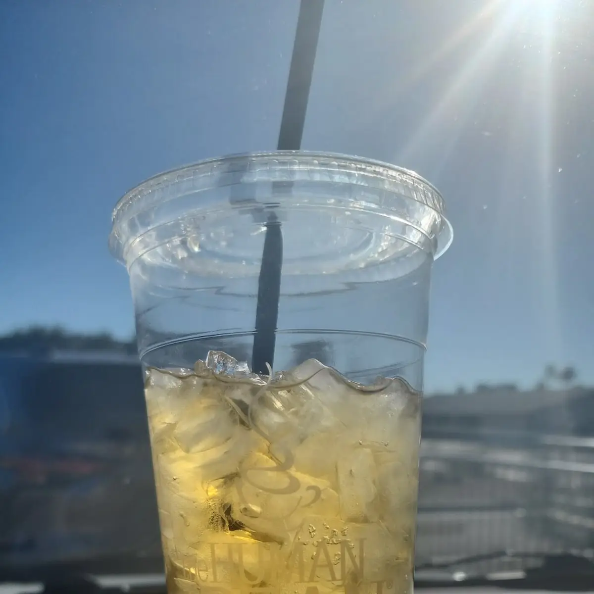 Green Iced Tea 32oz