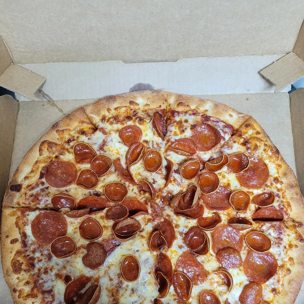 Large Round Pepperoni Pizza in Box