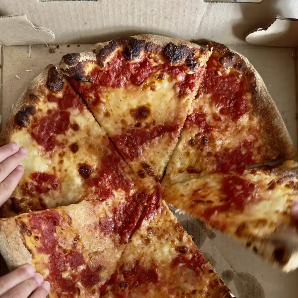 Pizza Margherita