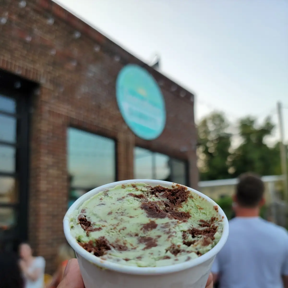 Mint Chocolate Chip