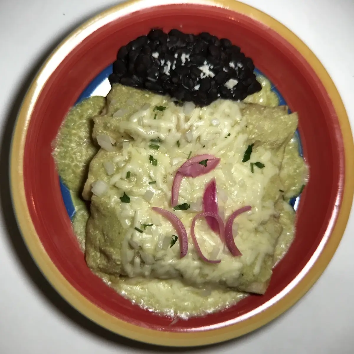 Wet Burrito - Green Salsa or Mole Sauce