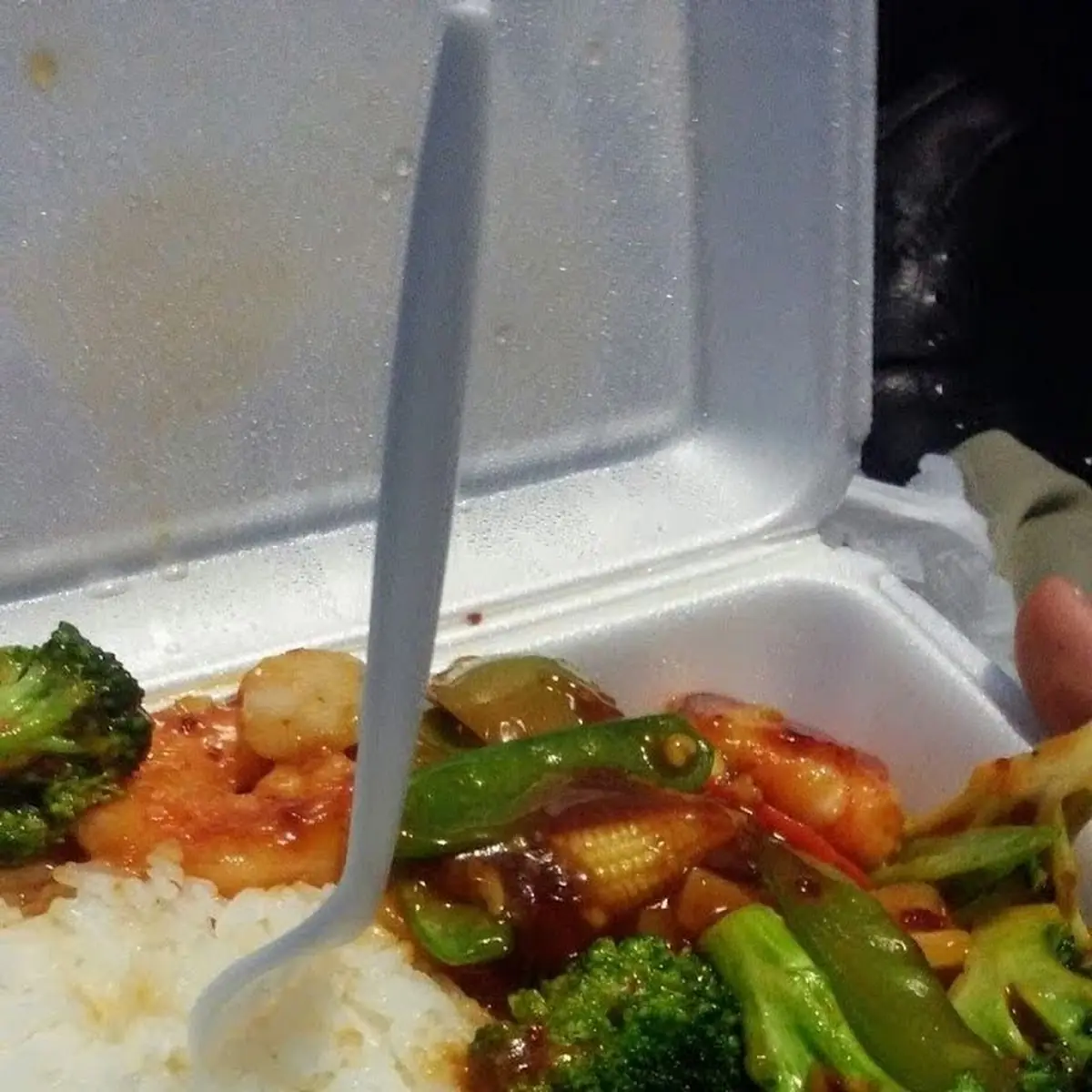 Shrimp w Garlic Sauce