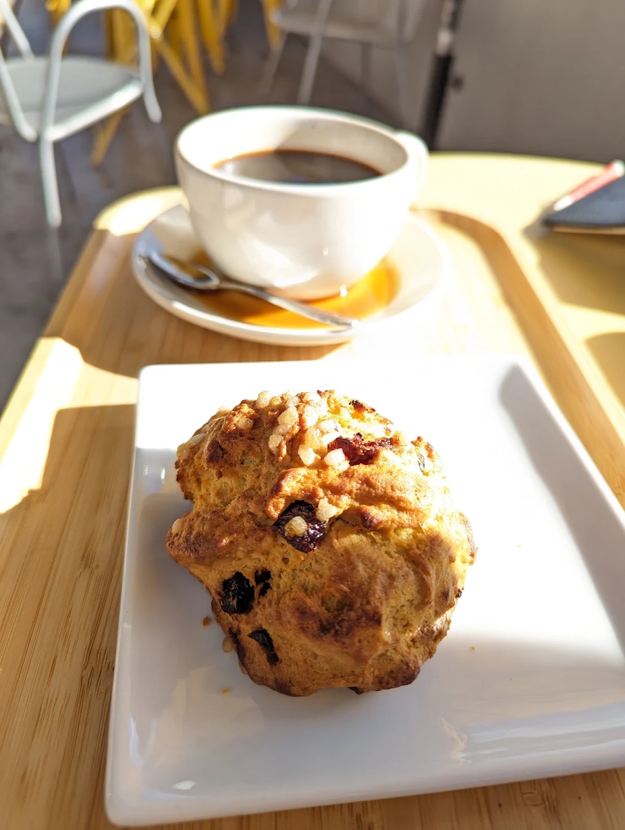 Blueberry Muffin