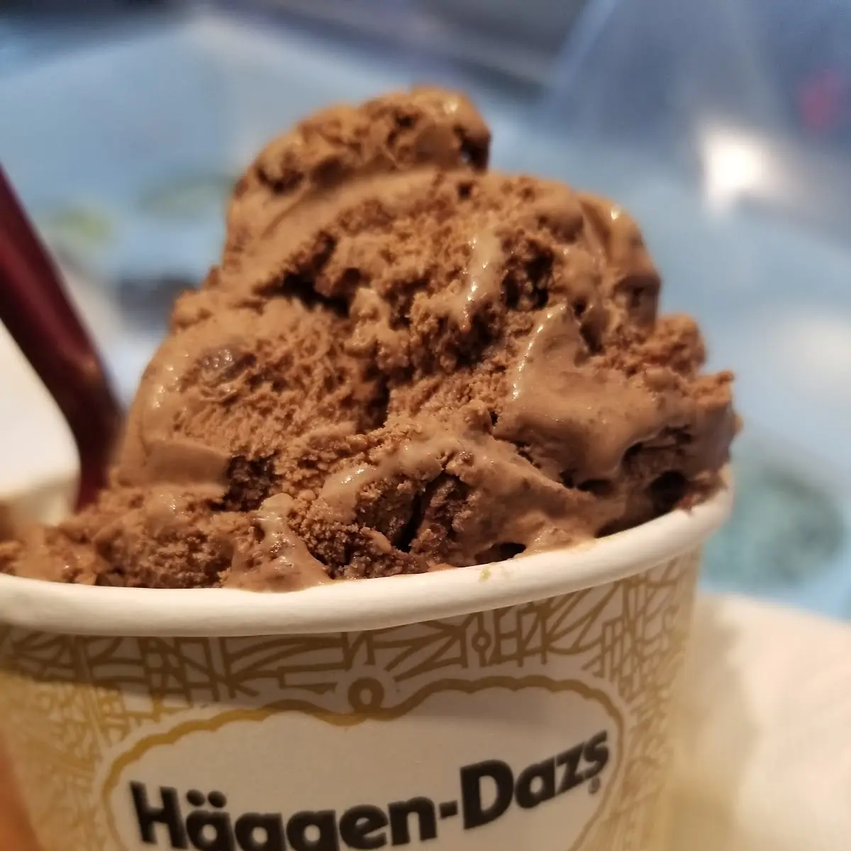 Belgian Chocolate Ice Cream