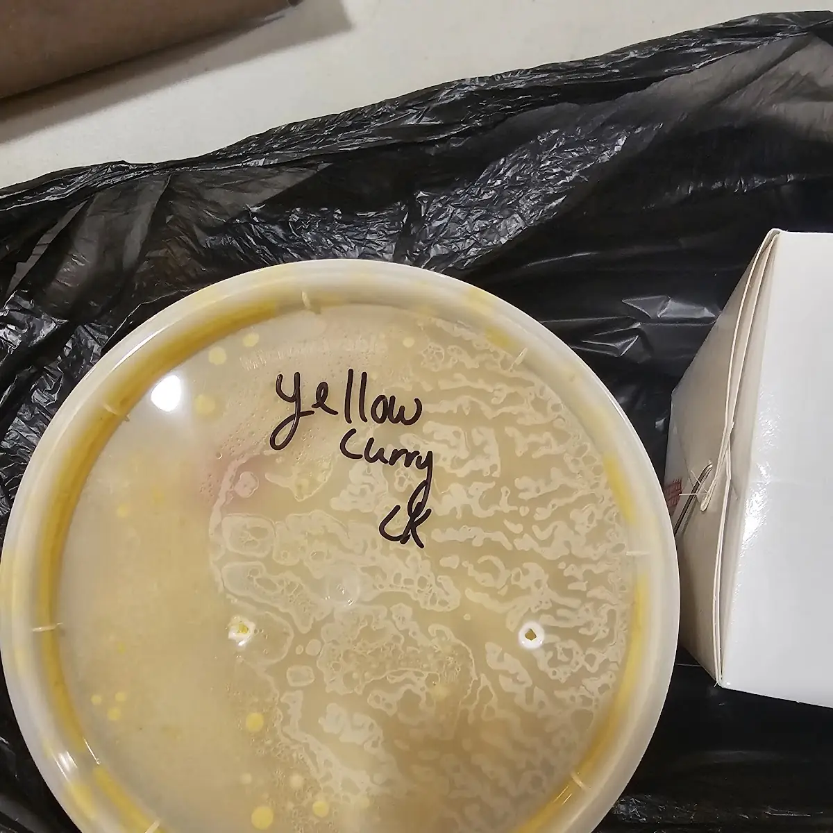 Yellow Curry Chicken with Onion