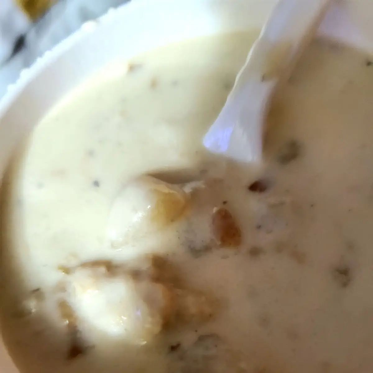 Clam Chowder Soup