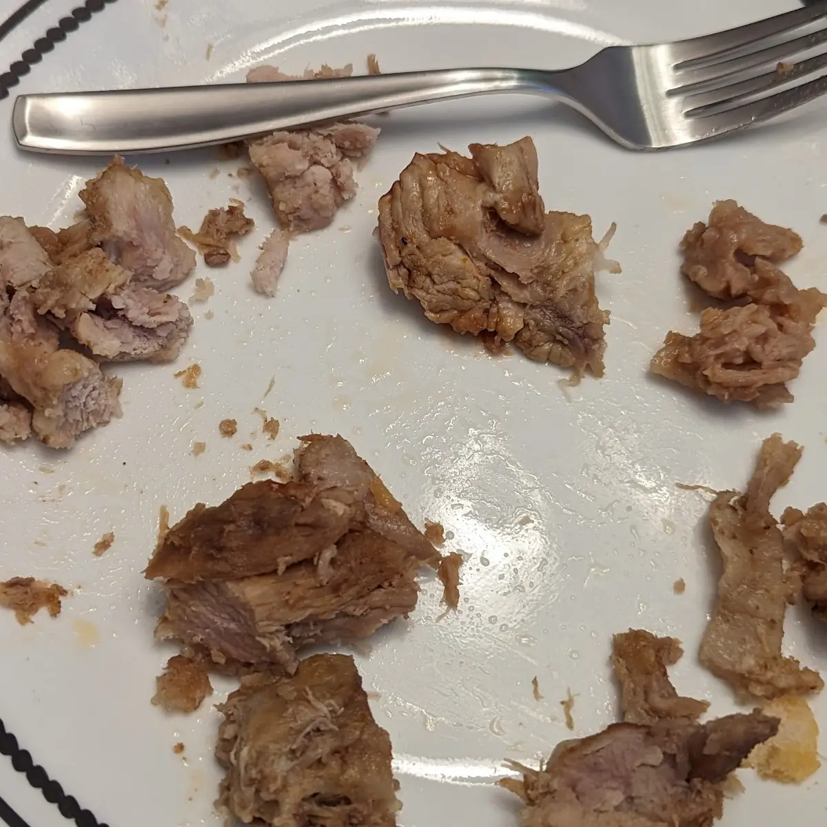 Supposed to Be a Pulled Pork Sandwich