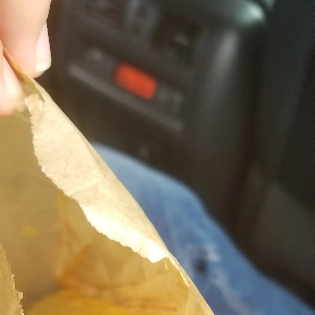 Crispy Beef Burrito