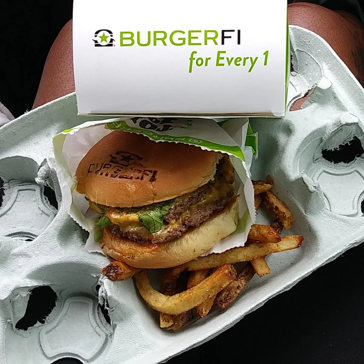 Buger-Fi Cheese Burger