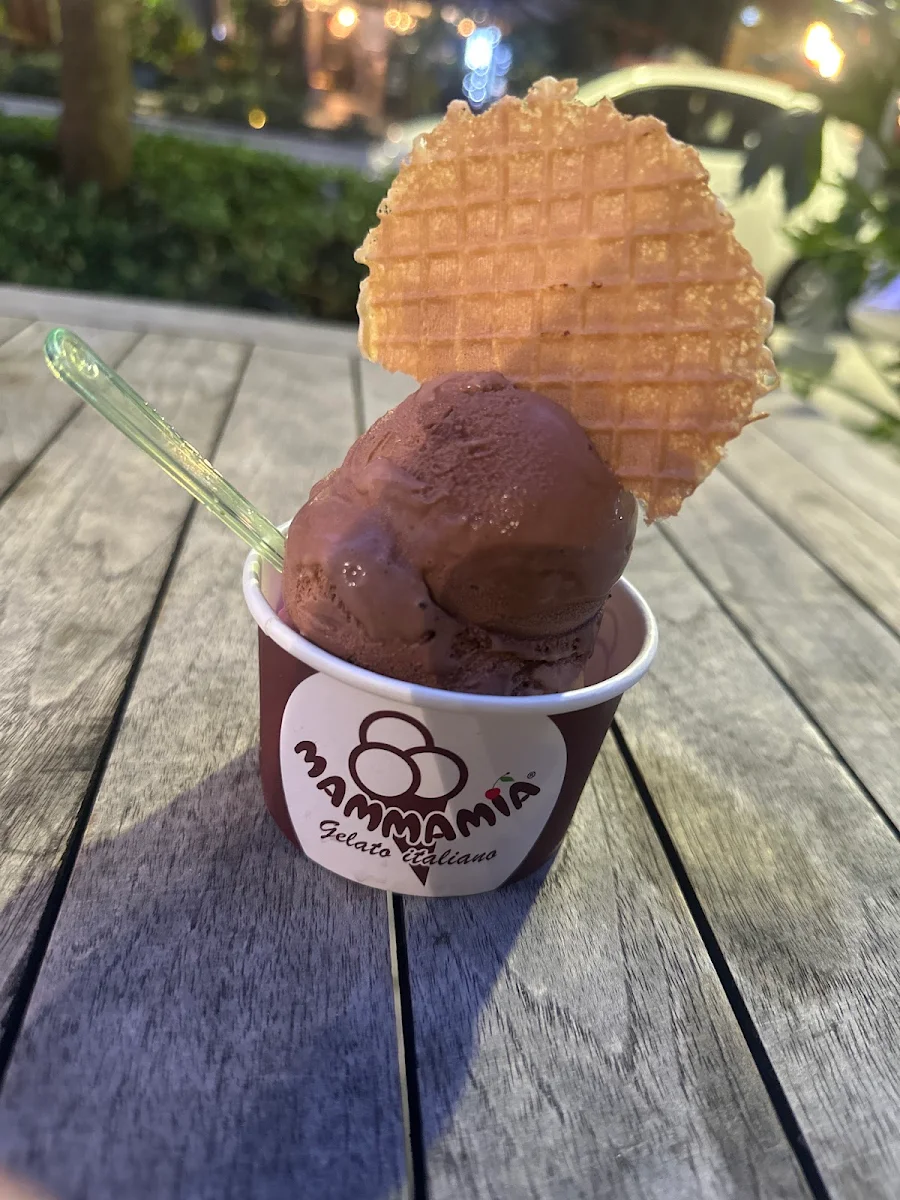 Chocolate Ice Cream